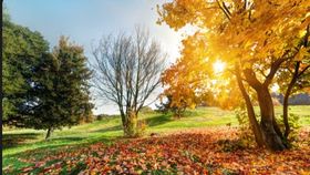 Echinocţiul de toamnă 2025. Când vom trece ora de iarnă